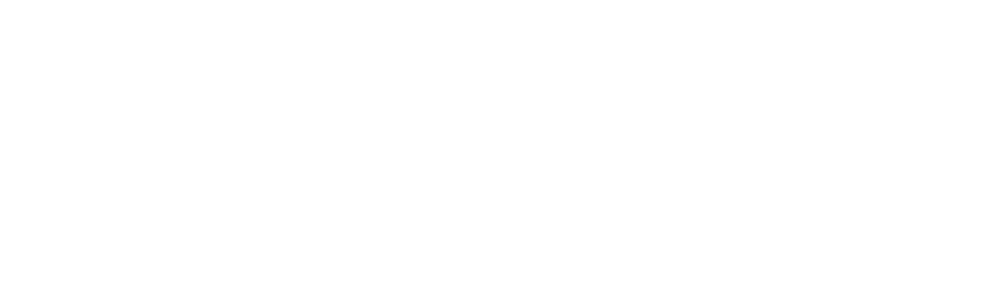 Stansberry Conferences Logo